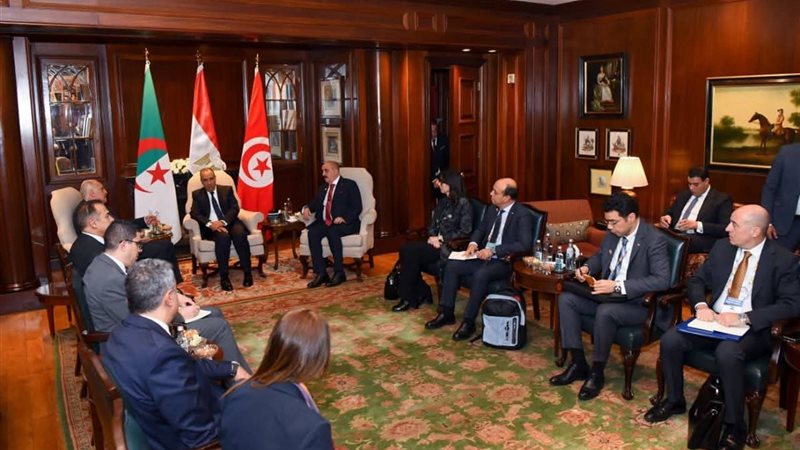 بدر عبد العاطي وزير