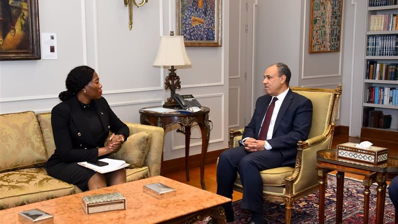 وزير الخارجية ونائبة