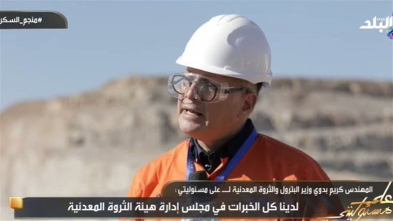 المهندس كريم بدوي