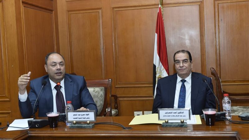 رئيس هيئة تنمية الصعيد