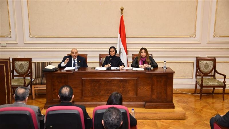 جانب من اجتماع اللجنة الأقتصادية بمجلس الشيوخ