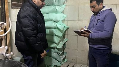 محافظ الدقهلية: تحرير 15 محضرًا متنوعًا في حملة رقابية على 22 مخبزًا 