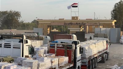 الهلال الأحمر المصري يعزز دعم غزة بمساعدات غذائية وطبية وشتوية 