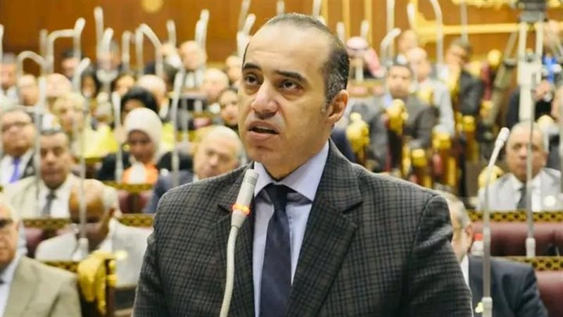 المستشار محمود فوزي