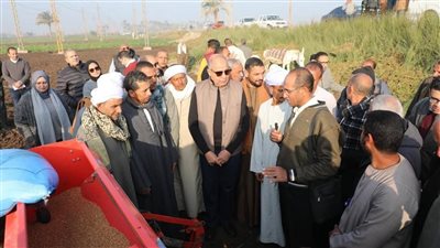 وسط حقول بردنوها بمركز مطاي محافظ المنيا يعطي إشارة بدء زراعة الذهب الأصفر