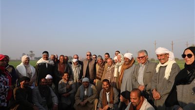 كدوانى: المنيا رائدة في زراعة وتصدير النباتات الطبية والعطرية