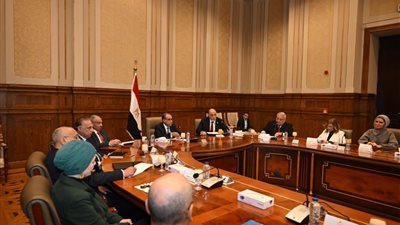 وزير الخارجية: مصر محاطة بأحزمة نيران في جميع الاتجاهات