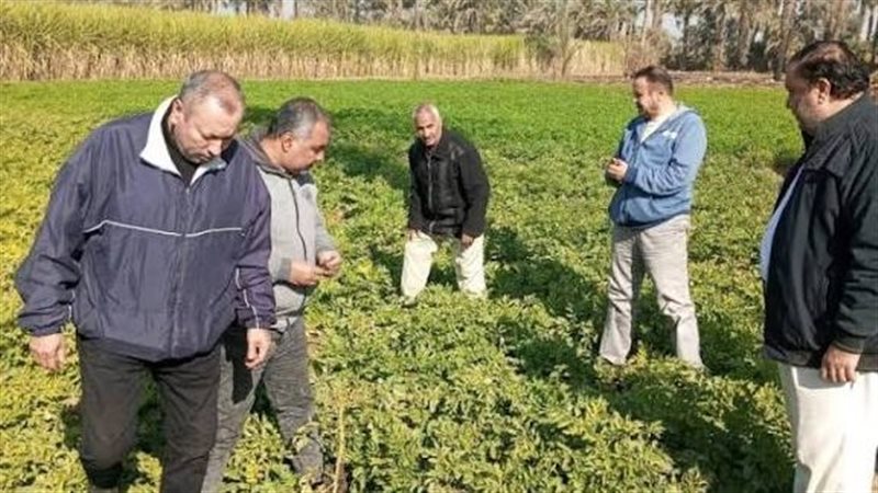 متابعات دورية على