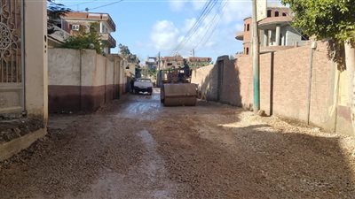 بالمشاركة المجتمعية.. رفع كفاءة وتمهيد عدد من شوارع محلة دياي بكفر الشيخ 