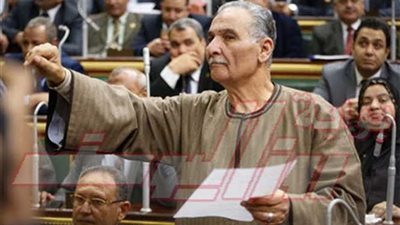 نائب لـ وزير البيئة : الغلابة ملهاش نصيب من البيئة