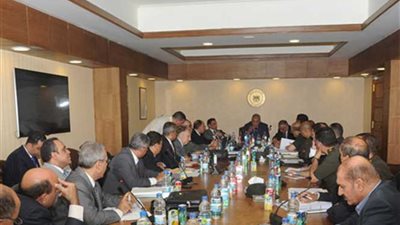 لجنة أراضى الدولة تكلف الإصلاح الزراعى بحصر كامل للجزر النيلية