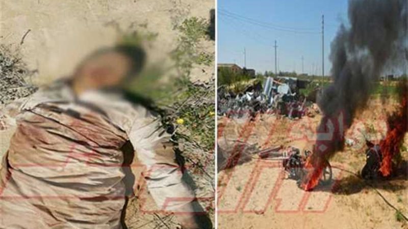 بالصور.. القوات المسلحة