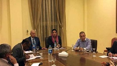 محافظ أسوان لـ