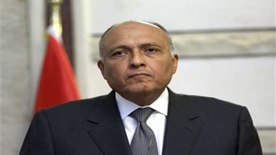 شكري : الملف الفلسطيني مطروح بقوة في لقاء السيسي مع ترامب