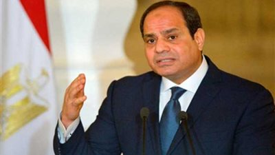 الرئيس السيسي : توافق الرؤى مع النمسا ساهم فى تعزيز موقفنا فى المحافل الدولية