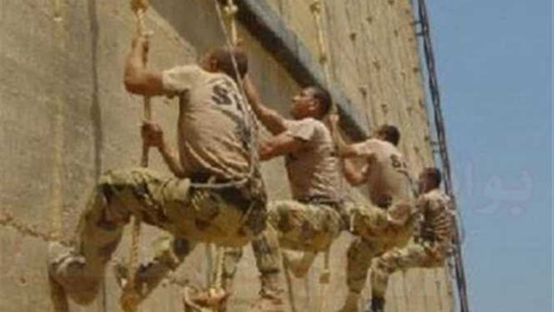 السيسى وضيوف مصر