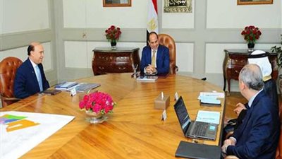 السيسي يوافق على إنشاء شركة تنمية رئيسية مع مجموعة موانئ دبى العالمية