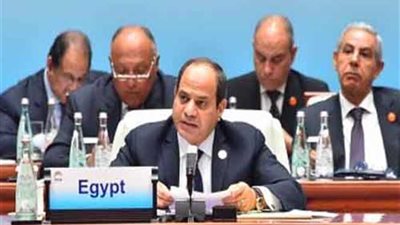 الرئيس : المصريون يستكملون بناء المستقبل وتطبيق برنامج طموح نحو النمو