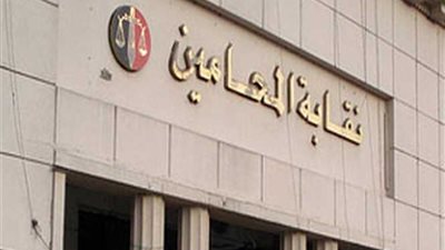 «المحامين» تطعن بالنقض على حكم «أبو كبير»
