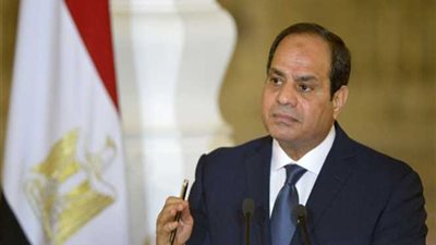 السيسي يوجه الحكومة بدعم صغار المستثمرين وتحديث منظومة تخزين الحبوب