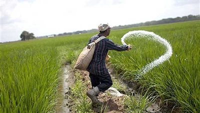 الحكومة ترفع سعر الأسمدة