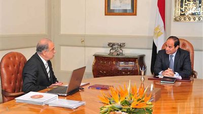 السيسي يكلف باستمرار التحركات المصرية لمساعدة الفلسطينيين