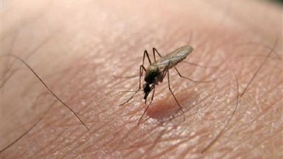 10 معلومات تهمك عن 