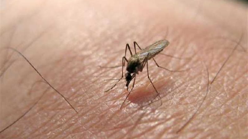 10 معلومات تهمك عن