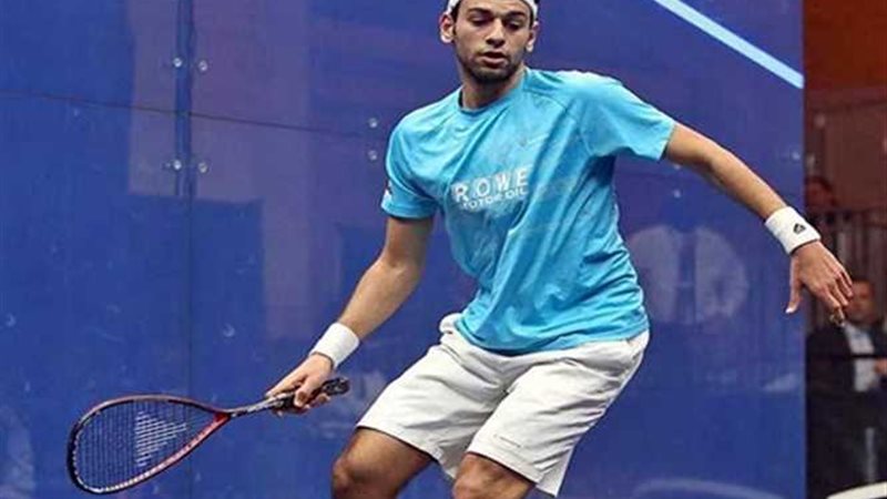 محمد الشوربجي في