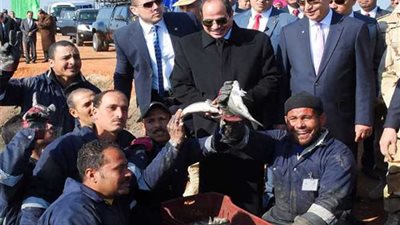 السيسي يفتتح مشروع الاستزراع السمكي