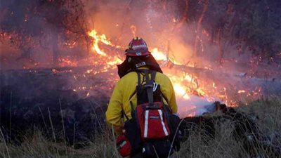 كاليفورنيا.. ارتفاع عدد قتلى أسوأ كارثة بالتاريخ الأمريكي