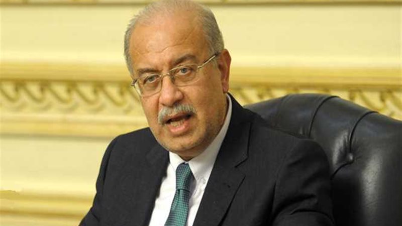 إسماعيل: الدولة تكافح