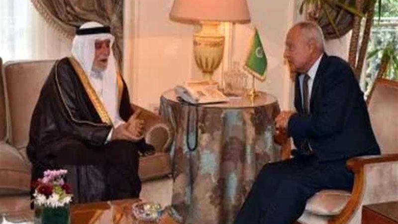 أبوالغيط يستعرض مع