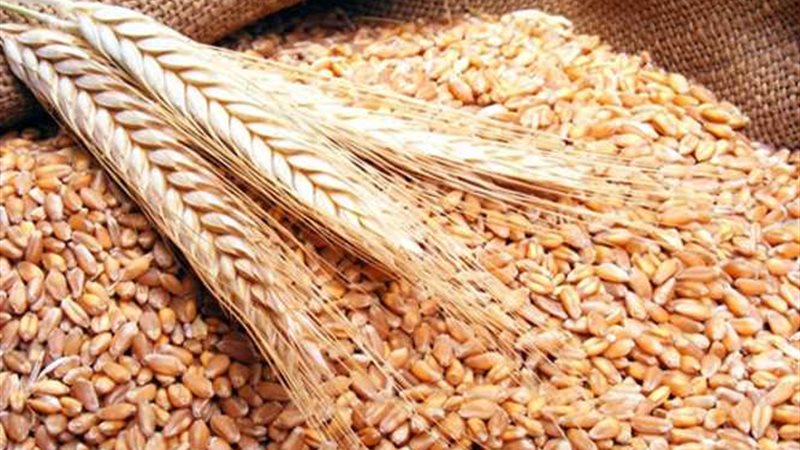 السلع التموينية تنفي