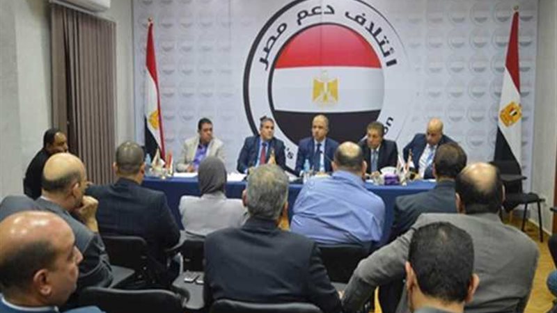 ائتلاف دعم مصر يزور