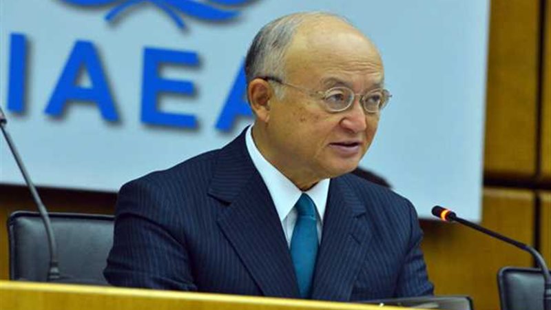 مدير الوكالة الدولية