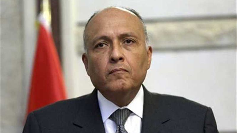 شكري يشارك في مؤتمر