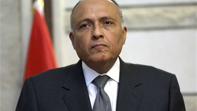 شكري يشارك في مؤتمر