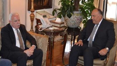 «شكري» يبحث تطورات القضية الفلسطينية مع «المالكي»