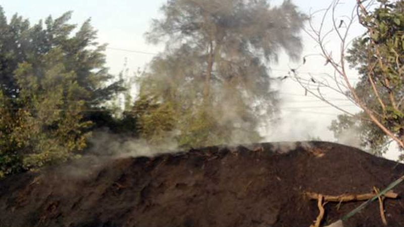 بالصور.. أصحاب مكامير