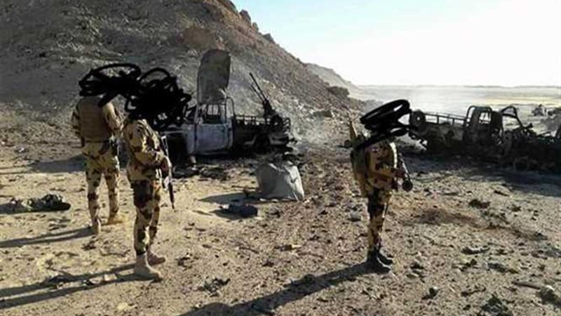 بالصور والفيديو..