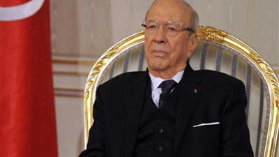 رئيس تونس يؤكد أن علاقة بلاده بالدول العربية والإفريقية استراتيجية