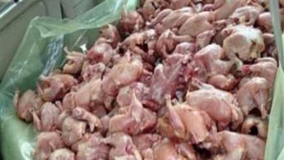 حملة تموينية بقليوب تضبط 7 أطنان خلطة «بانيه» فاسدة