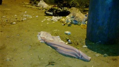 العثور على جثة رضيعه وايداعها مستشفى ببنى مزار