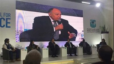 شكري : دور مصر الإقليمي والدولي ينطلق من مسؤولياتها كدولة محبة وراعية للسلام