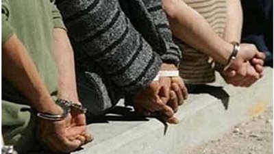 ضبط 8 أشخاص يقودون السيارات تحت تأثير المخدرات بالغربية