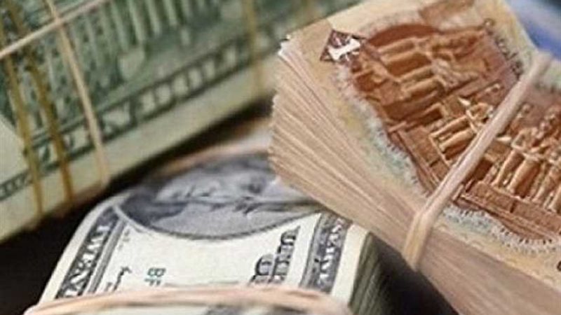 استقرار أسعار العملات