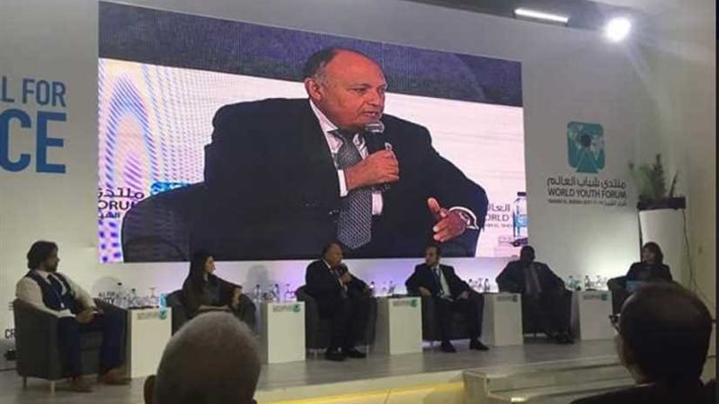 شكري : دور مصر الإقليمي