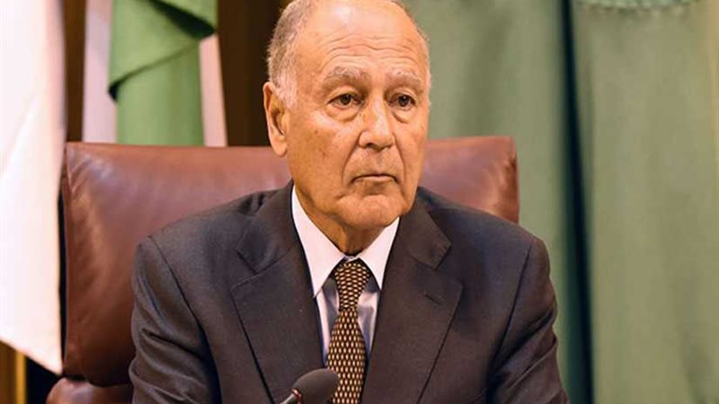 أبو الغيط يبدأ زيارة