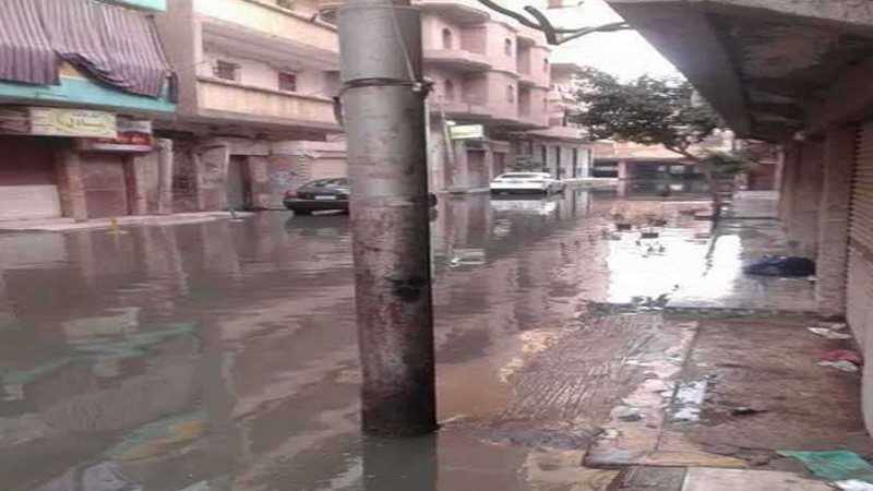 بالصور.. كفر الدوار